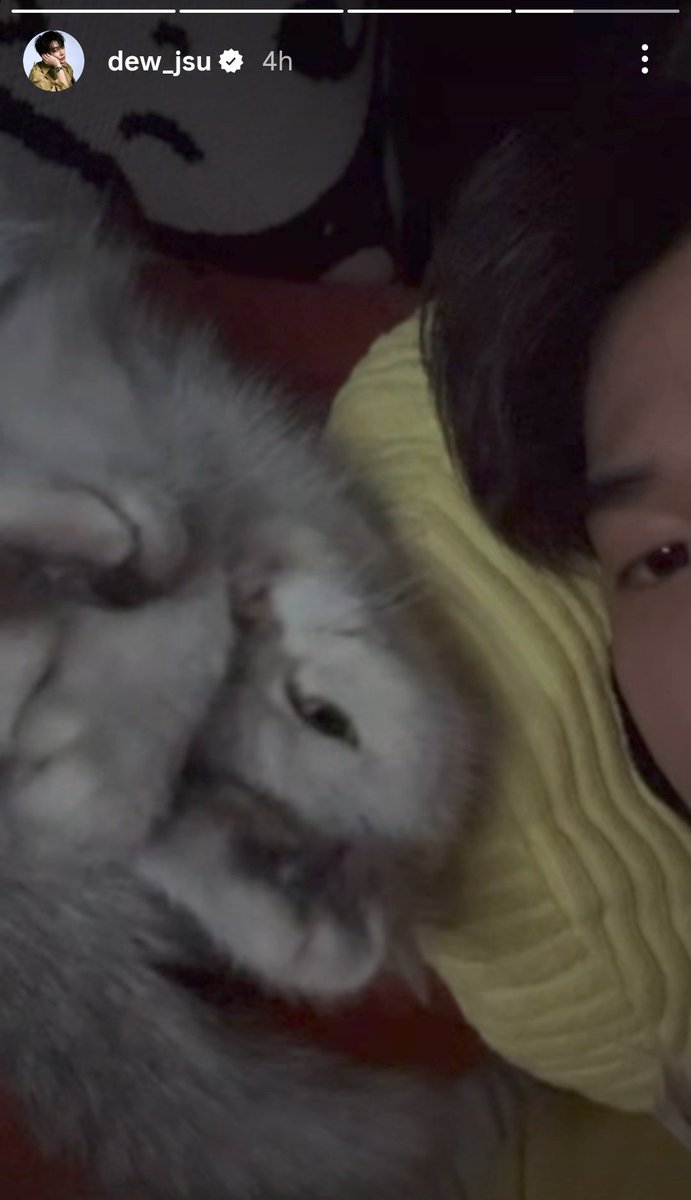 kimy กิมิ tweet media