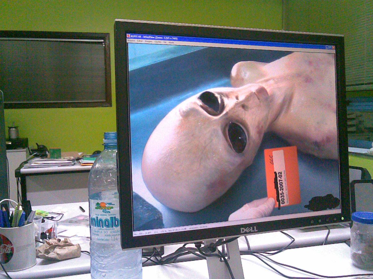 Izaque | OEAV tweet media