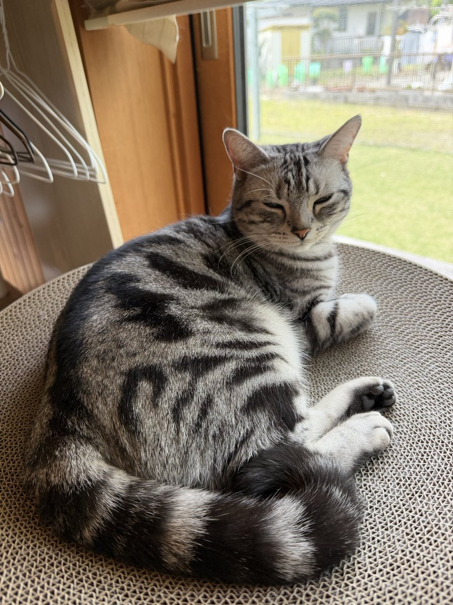 YO@Yoshitaka_Shikano tweet media