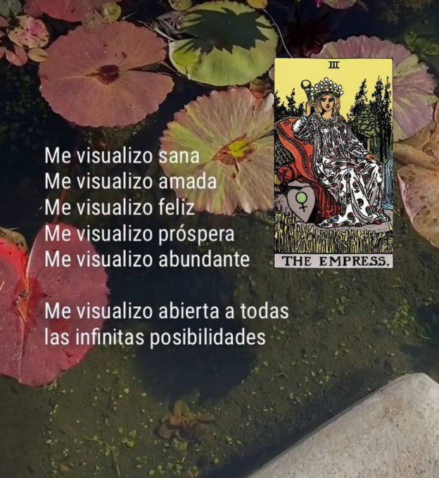 moony | agenda abierta 🇦🇷 tweet media