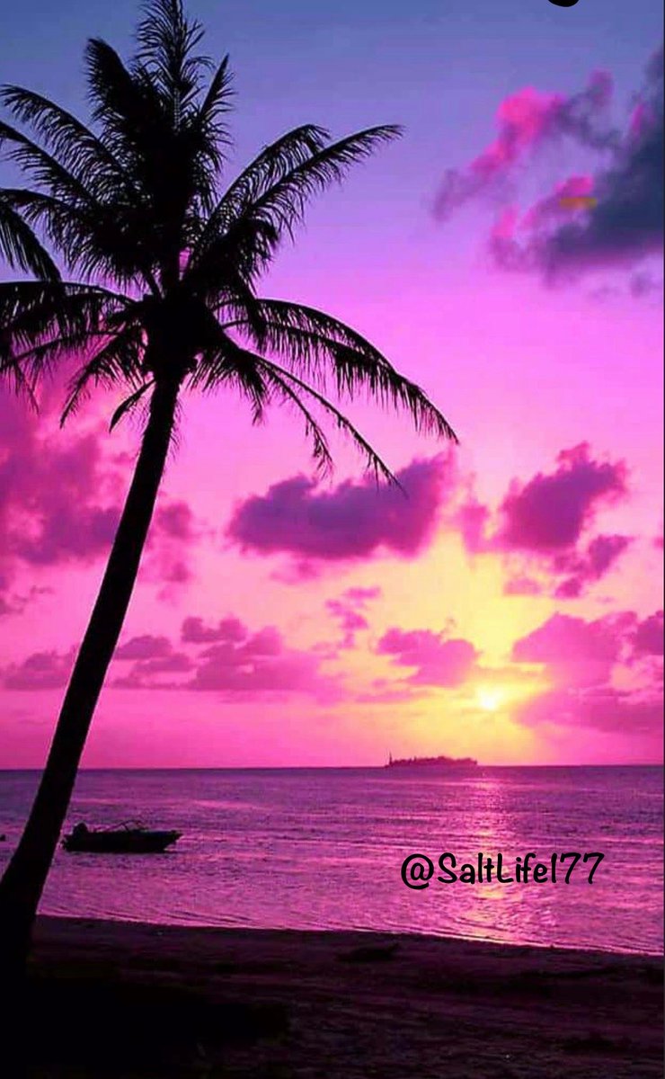 Saltlife1👠 tweet media
