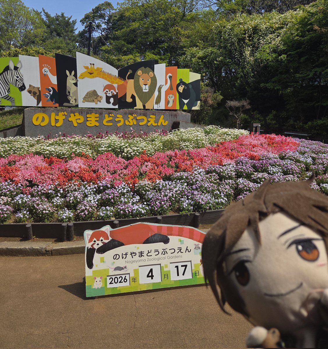 おてぎぬ tweet media