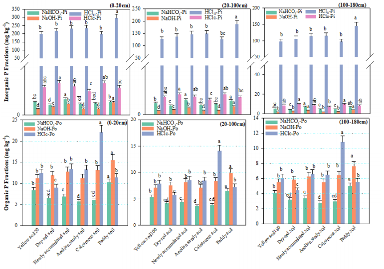 Pedosphere1991's tweet photo. #ResearchArticle
“Distinct soil-type-depth specific mechanisms mediate carbon and phosphorus coupling in #TropicalSoils” by Prof. Zhiping Yang and colleagues from Shanxi Agriculture University.
🔗 https://t.co/nzvizLKsRm
#SoilCarbon #PhosphorusFractions #SoilDepth #SoilFertility https://t.co/cdQW1pBLUm