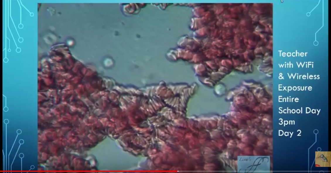 Escape From Zombie Island tweet media