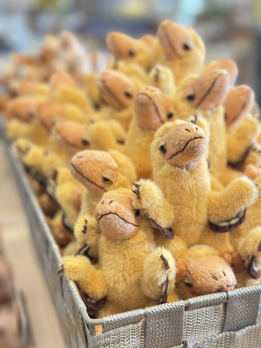 福井県立恐竜博物館 tweet media