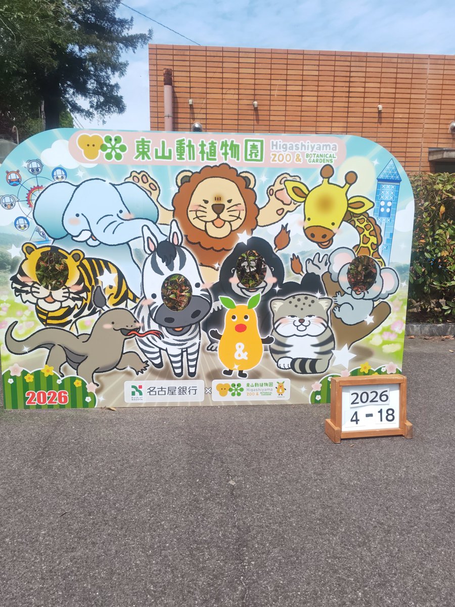 ✨マヌルネコ✨
＃東山動植物園