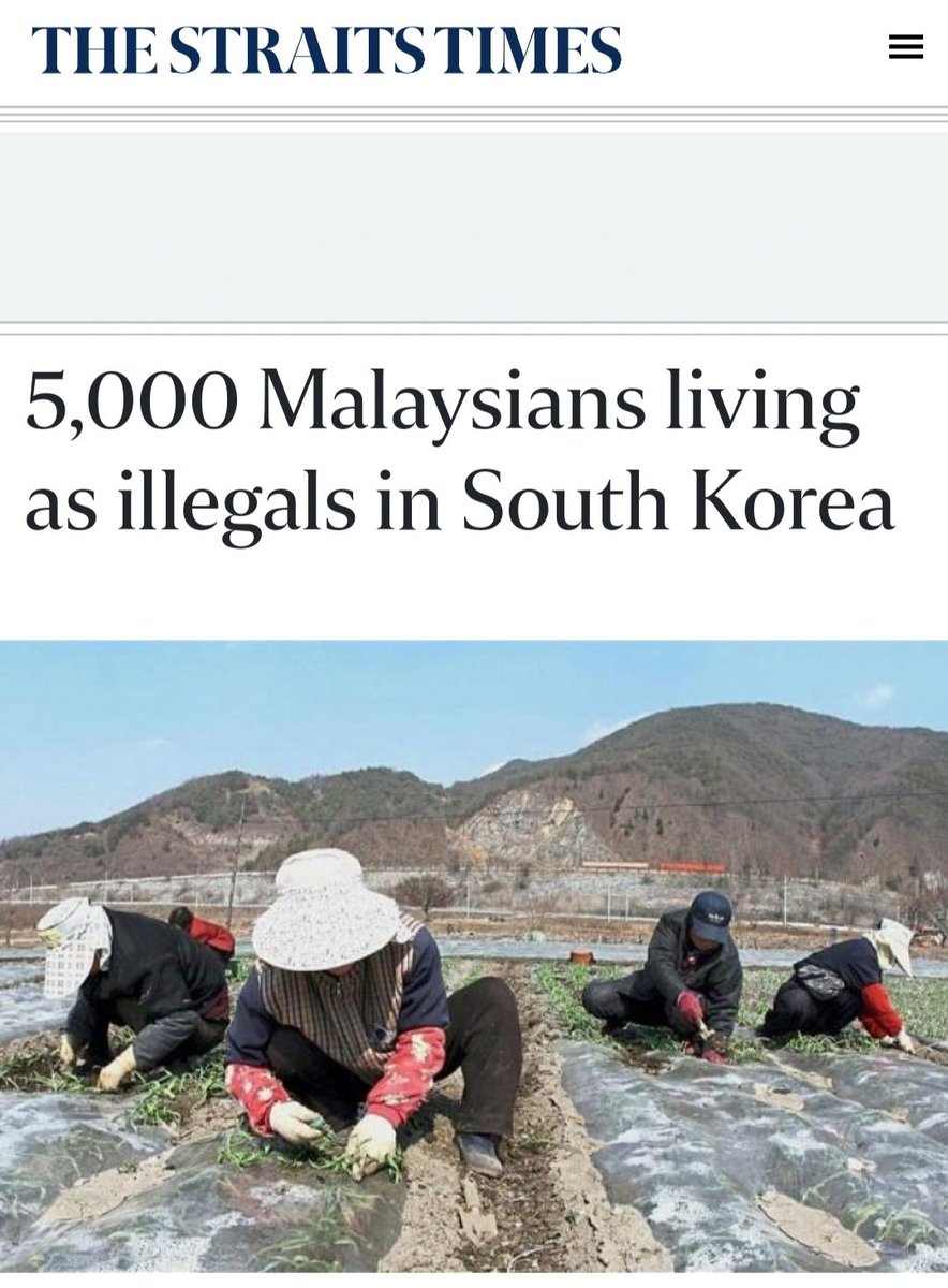 bendebendebendedesh tweet media