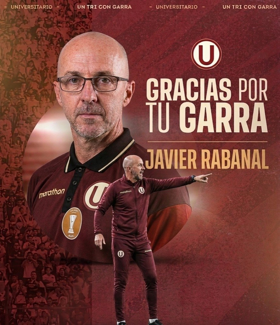 SPUNK1🐝 tweet media