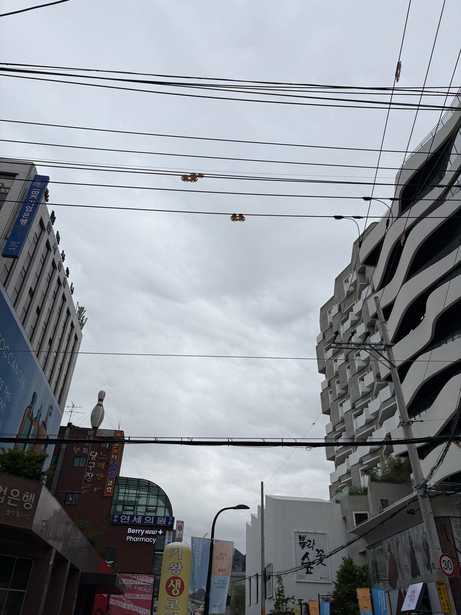 ソンスバズトレンド速報 tweet media