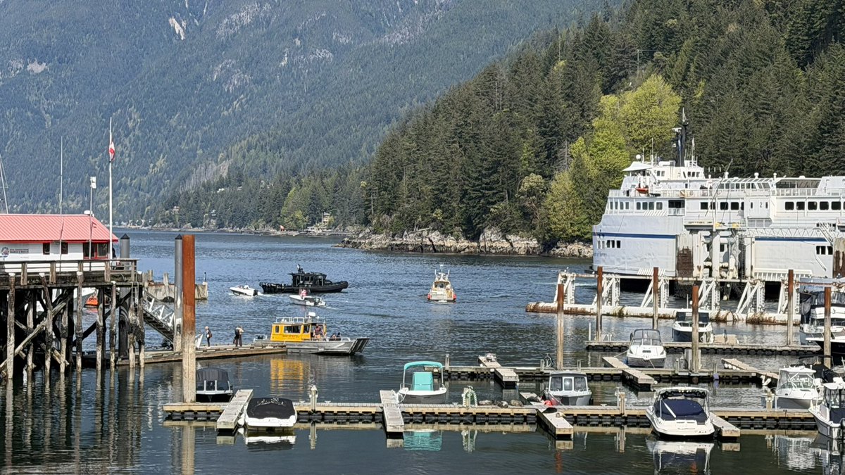 Steven Elliott 🇨🇦 🇺🇸 tweet media