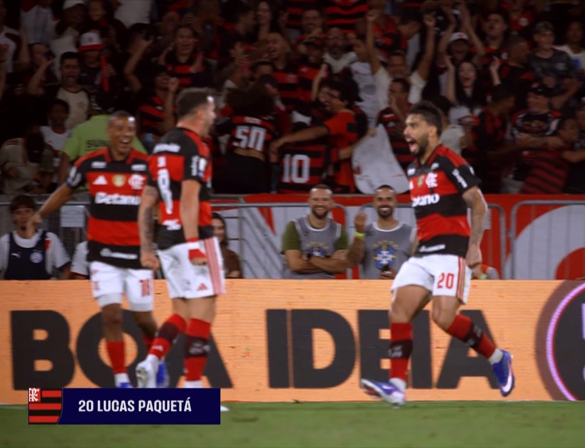 Sincerão tweet media