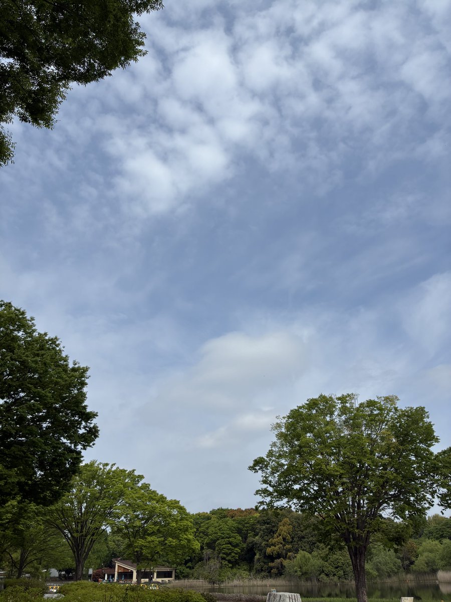 昭和記念公園セグウェイツアー【5月まで予約受付中】 tweet media