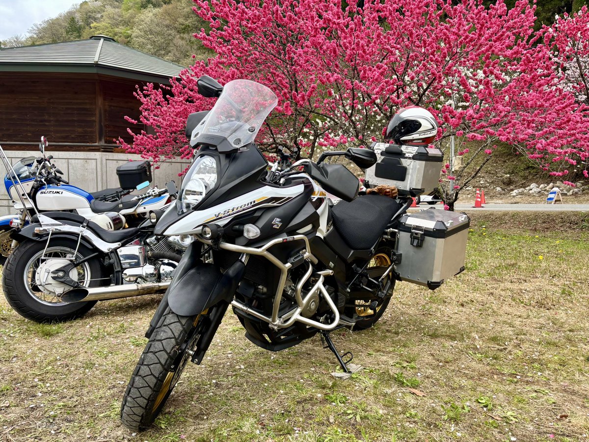 harupa2's tweet photo. Vスト乗りの皆さん、昨日は富士ストお疲れ様でした。
今年は残念ながら会社のバイク仲間とのツーリングが重なってしまったので、また来年🖐️

#富士すと 
#花桃の里 https://t.co/Rh1G4qBHPh