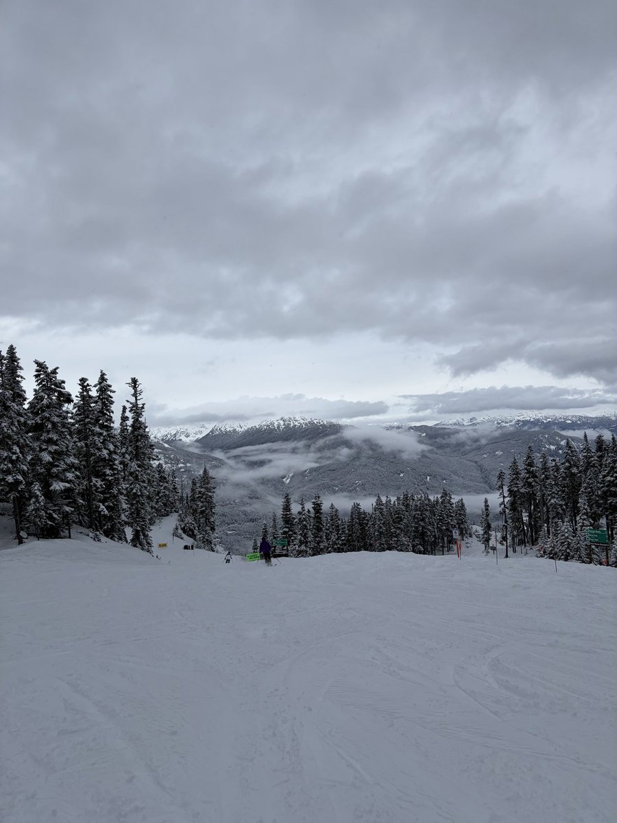 fishsouperr's tweet image. whatever. go my unfinished study #arttwt #artstudy