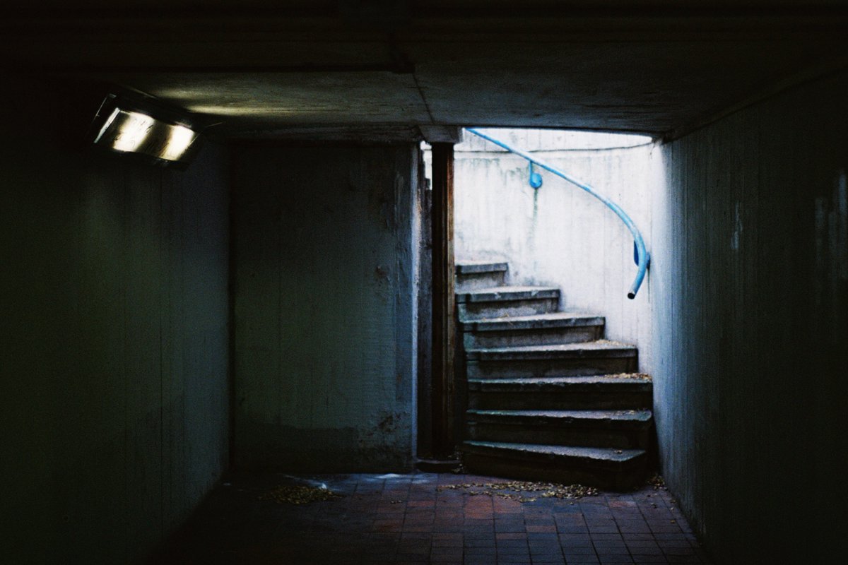 elle 🐇 tweet media