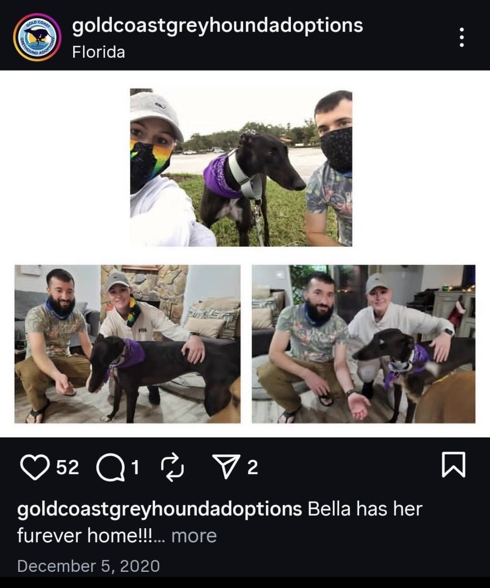 Steve Baker tweet media