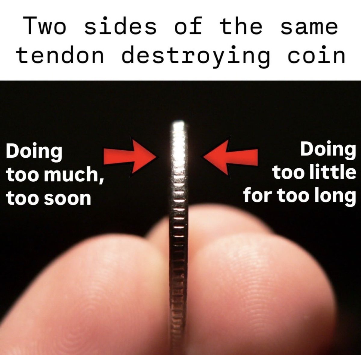 jake_tuura's tweet photo. Tendons like consistent loading. https://t.co/CN5dVfIoxC