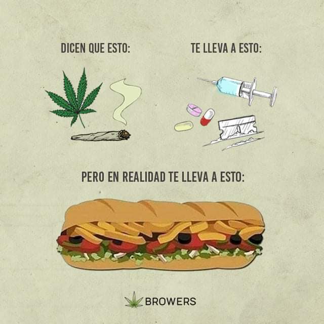 R. Pacheco tweet media