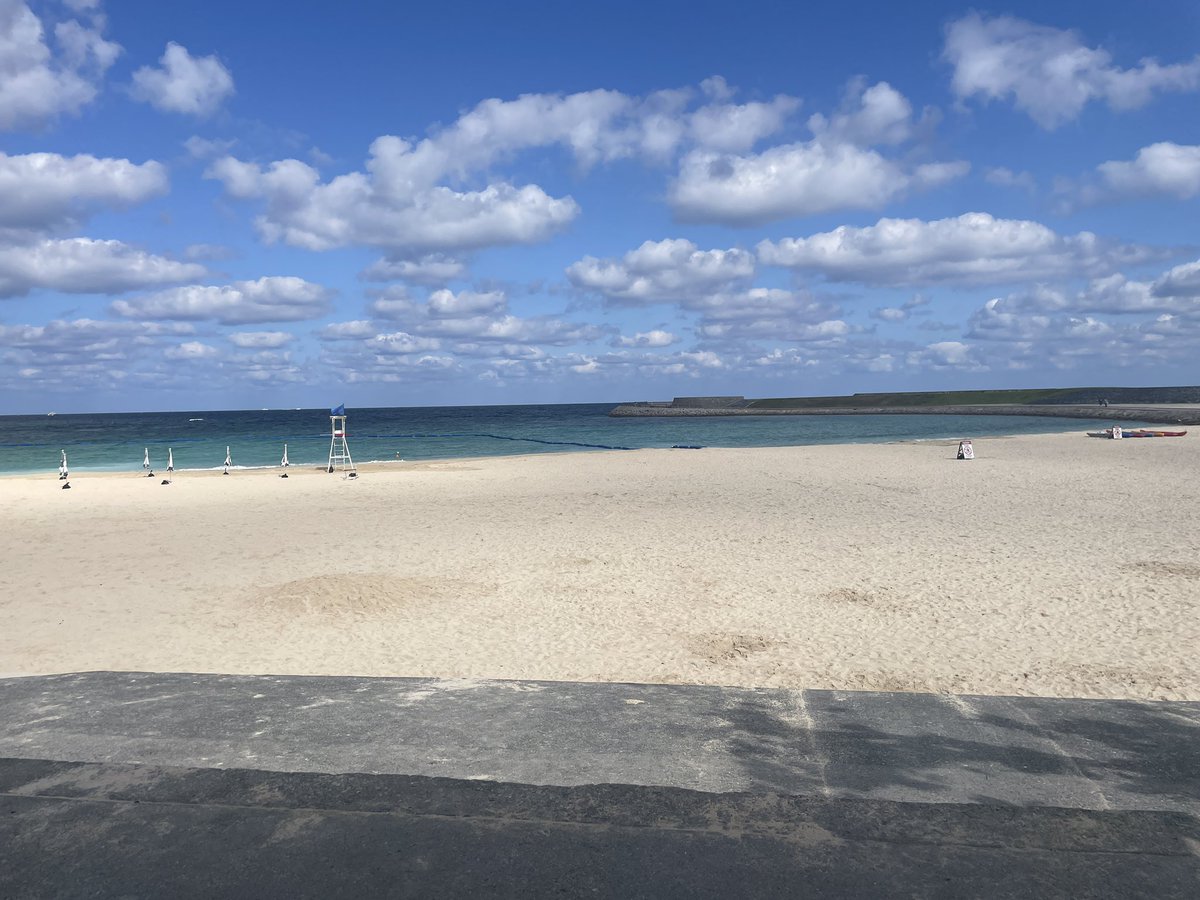 niina_217 tweet media