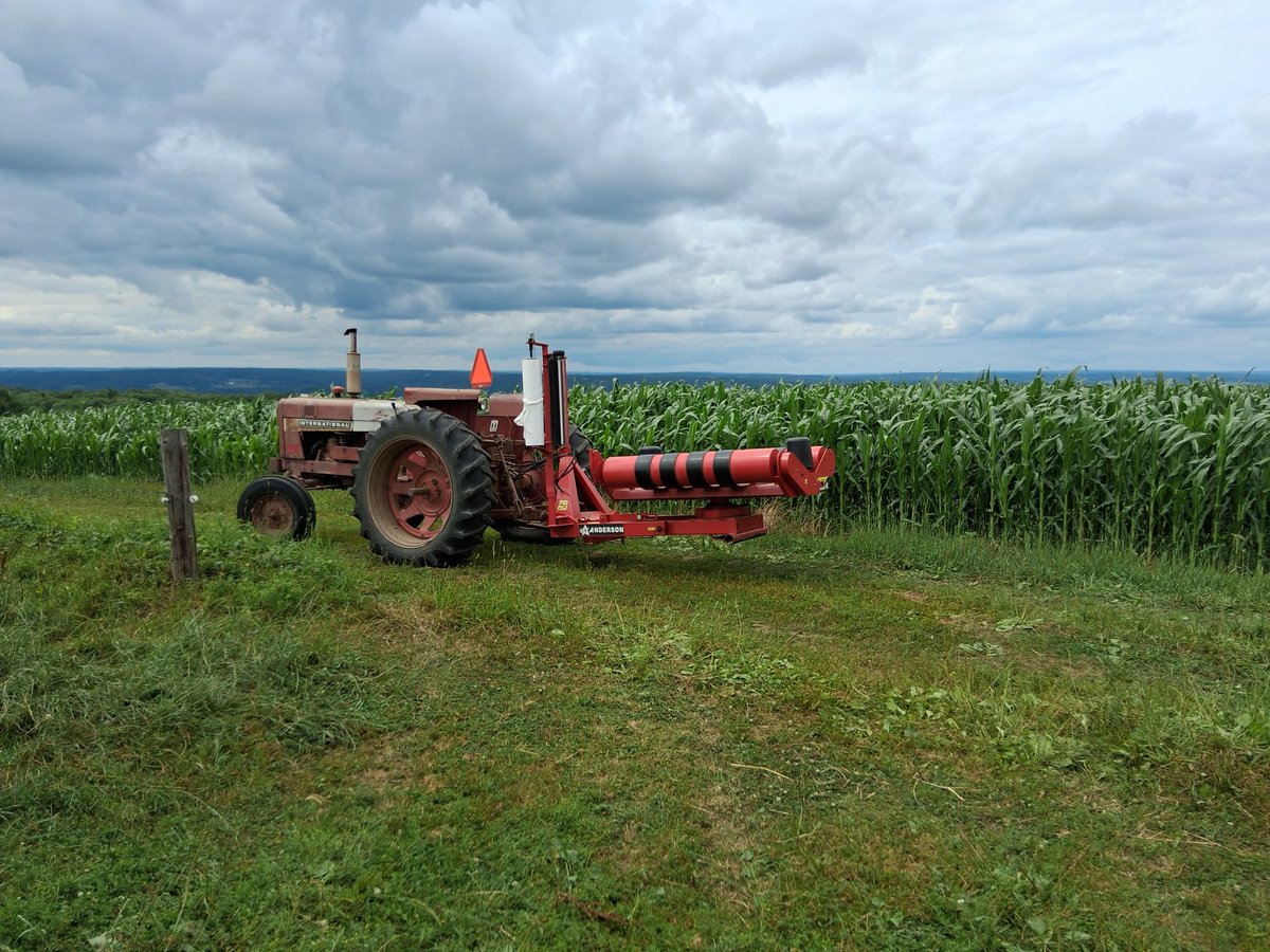 NWPA Dairyman tweet media