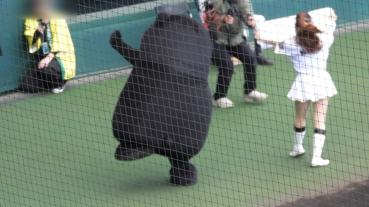 ふ る🏍️(カブ主) tweet media