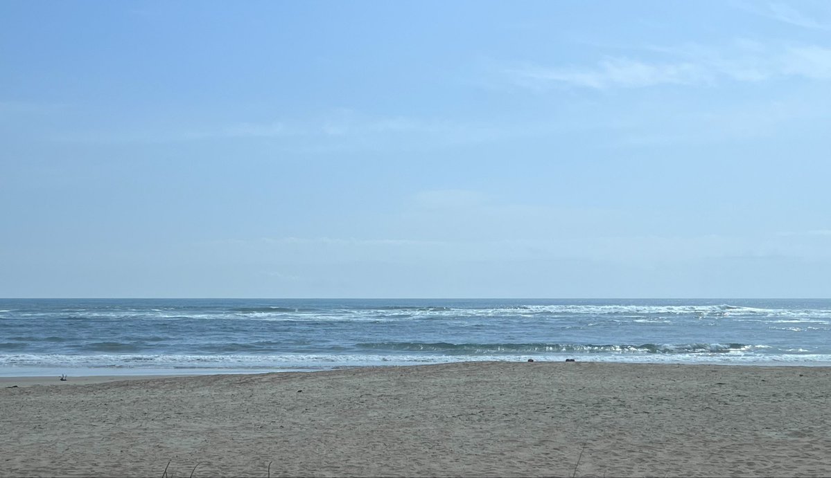 ばらん tweet media