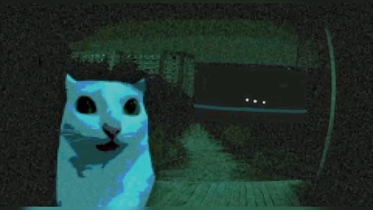 live_vinni's tweet photo. Como me encantaría que molly estuviera tan metida en el roleo del lore como todos los demas, que haya un suspenso en su roleo, seria increibleee https://t.co/OqFYfLyJoV