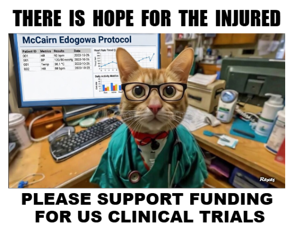 RexesRule ⚓USN ⚓😺 🦝 tweet media