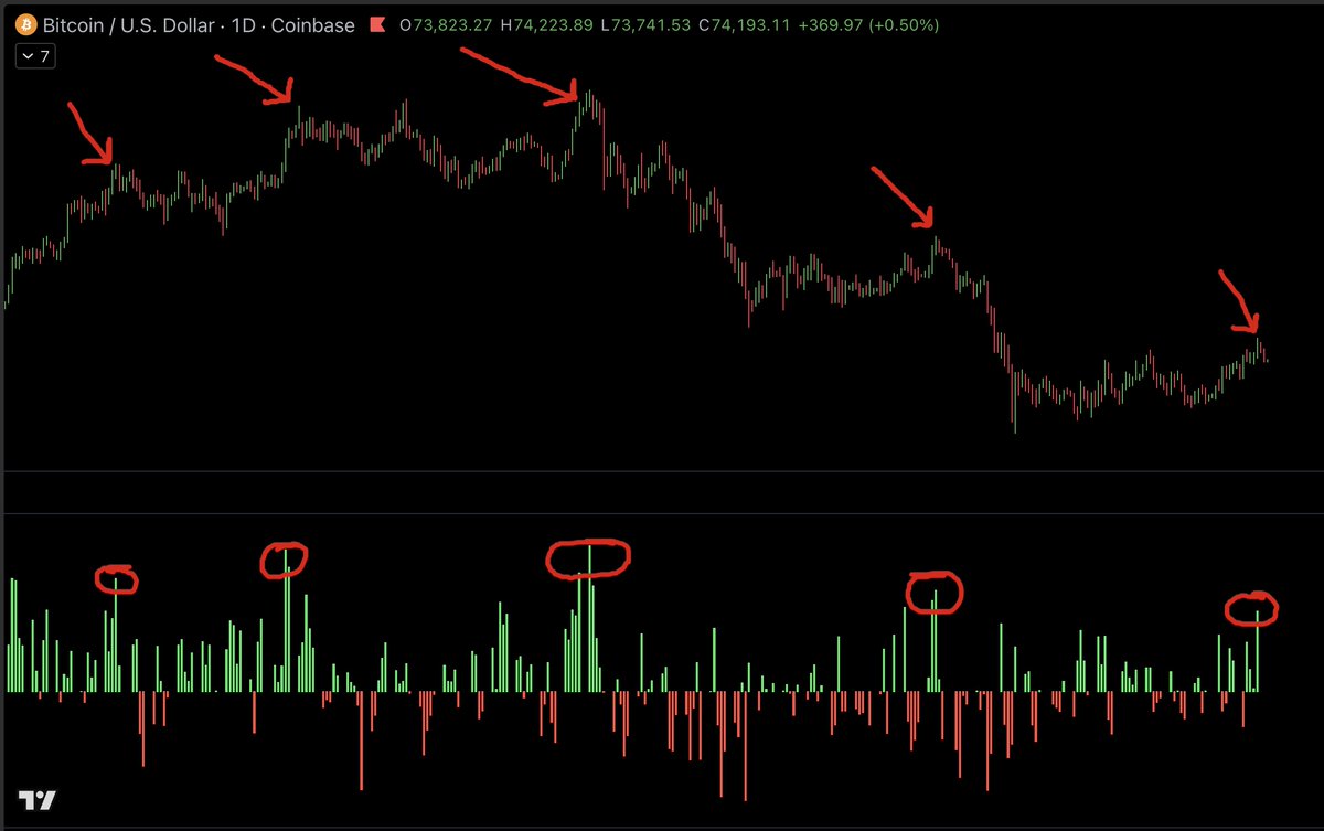 Jason Pizzino 🌞 tweet media