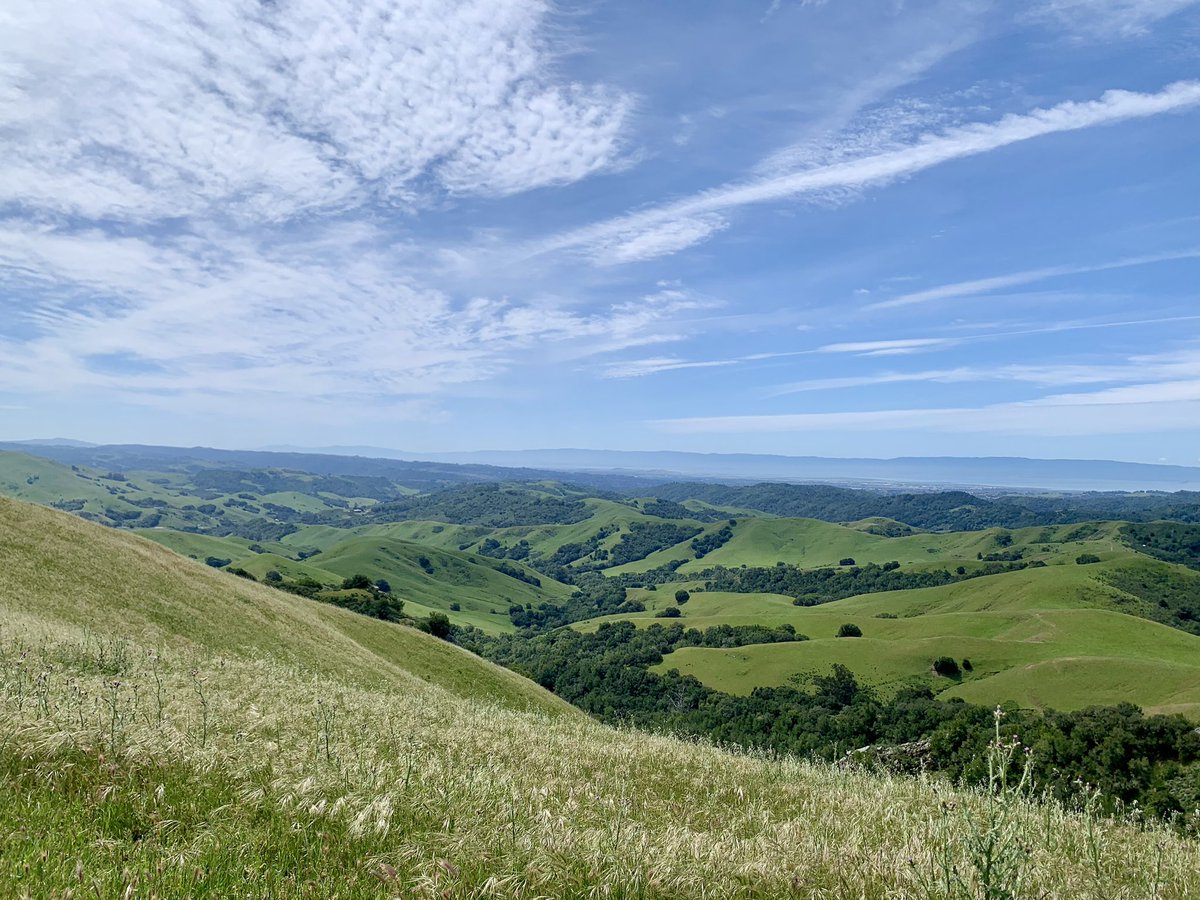 2AndreaMarvin's tweet image. Stunning hike at Las Trampas. The steep incline to the top is well worth the view! 
#EastBay