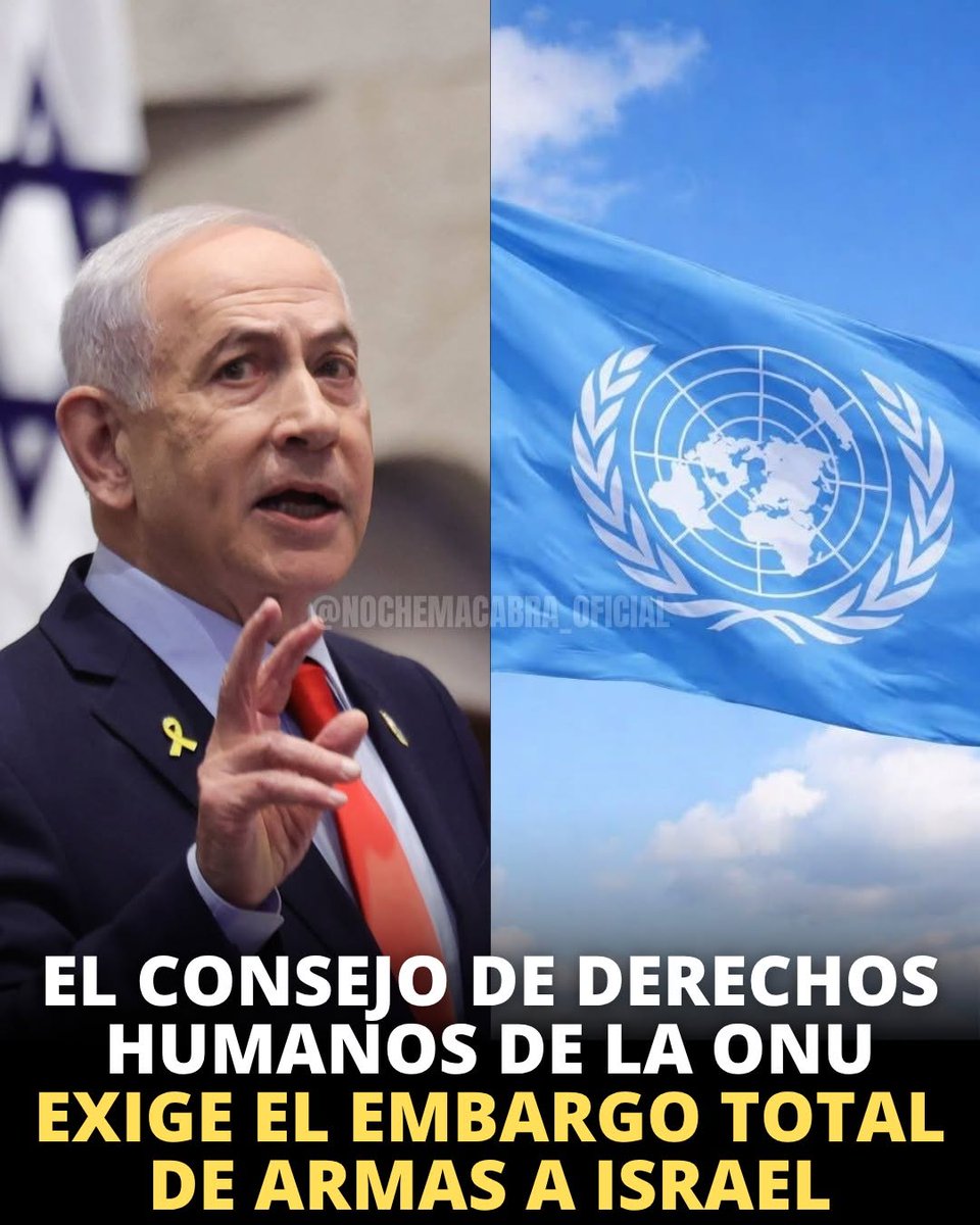 ancelmo70 tweet media