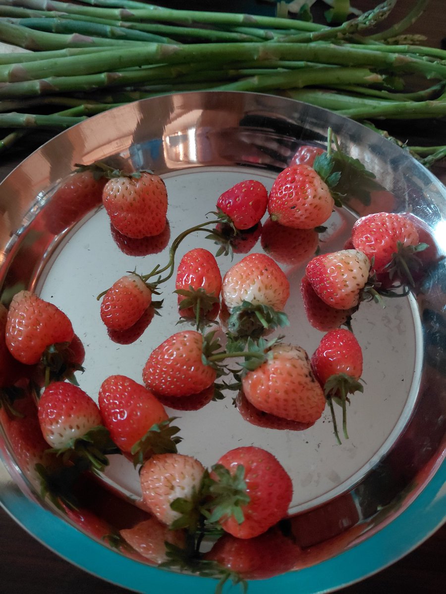 नूर tweet media