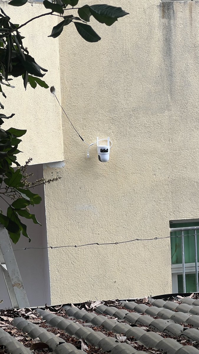 屠夫吳淦 tweet media