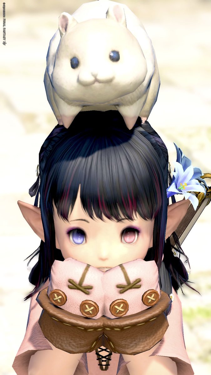 そめ・そるめ tweet media