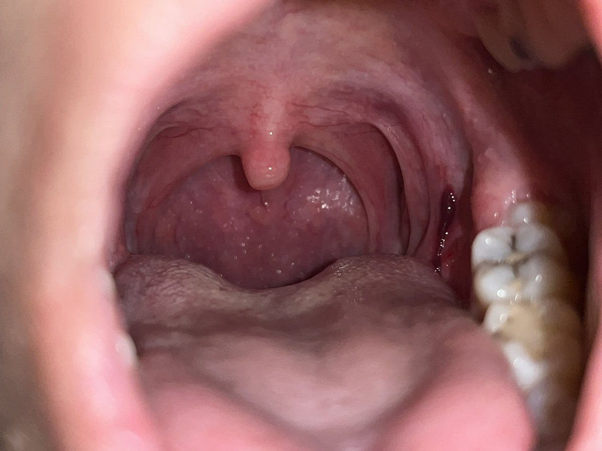 1283940504938282761628495060502725183055029278305я tweet media