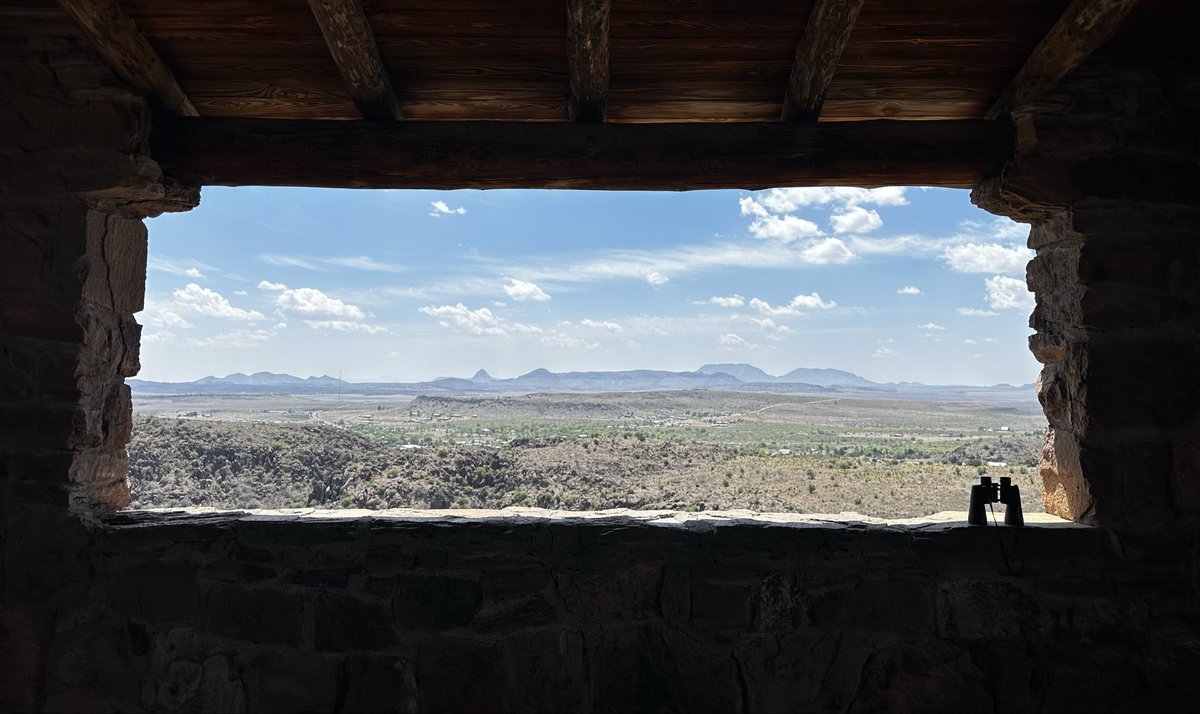 Joe Cook tweet media