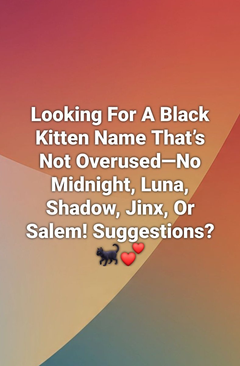 Sara Mary ⭐❤️ tweet media