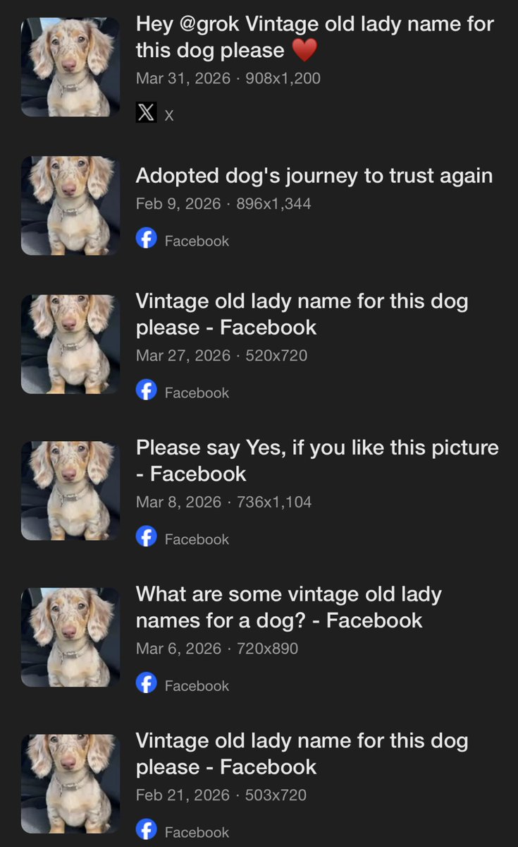 Justin Here tweet media