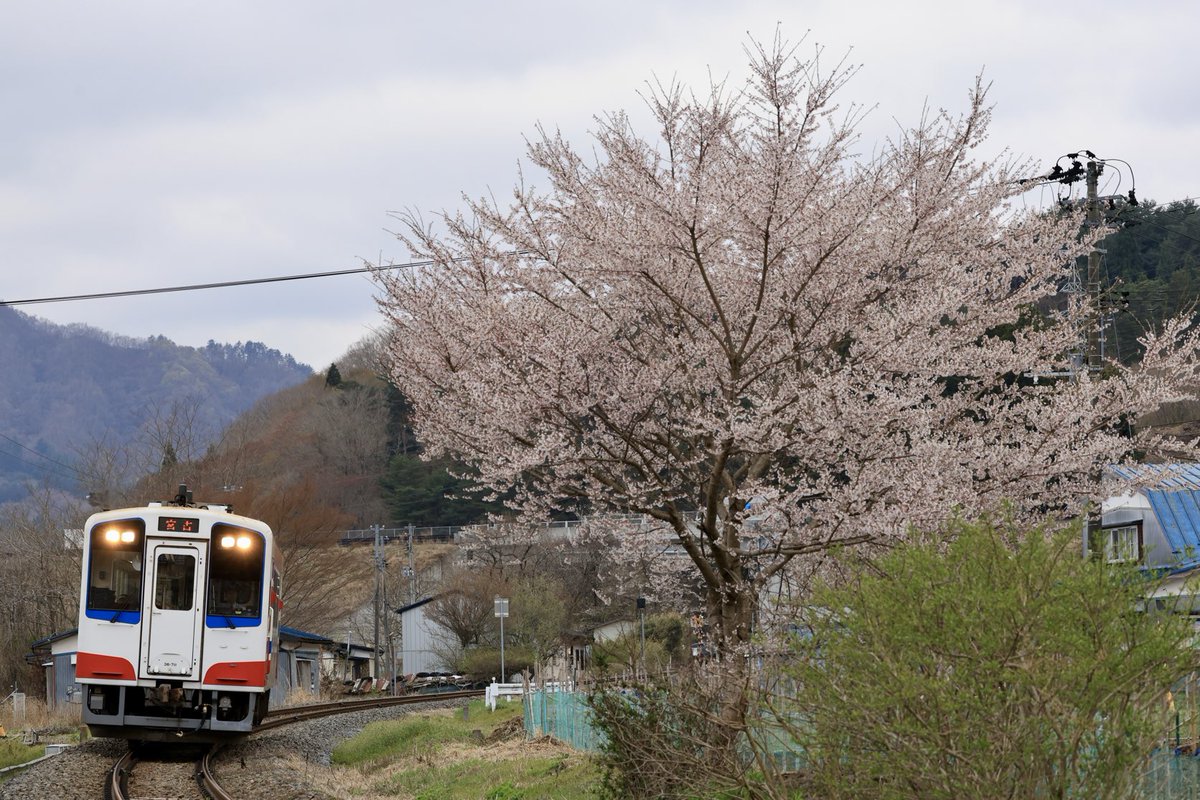 リアス潮風 tweet media