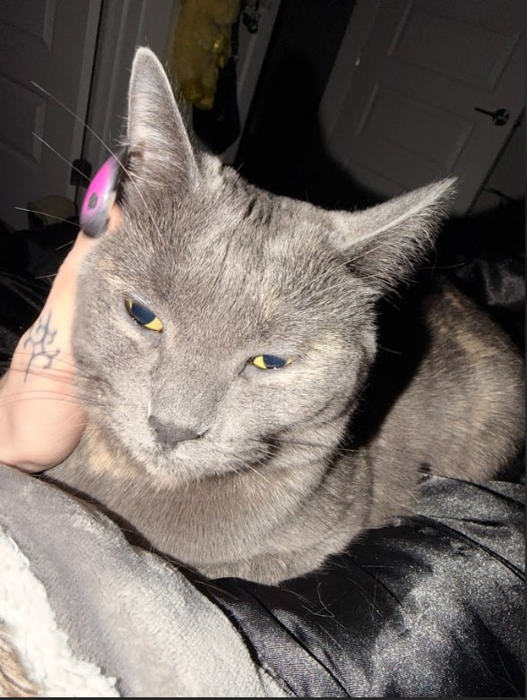 Rayy🥶 tweet media