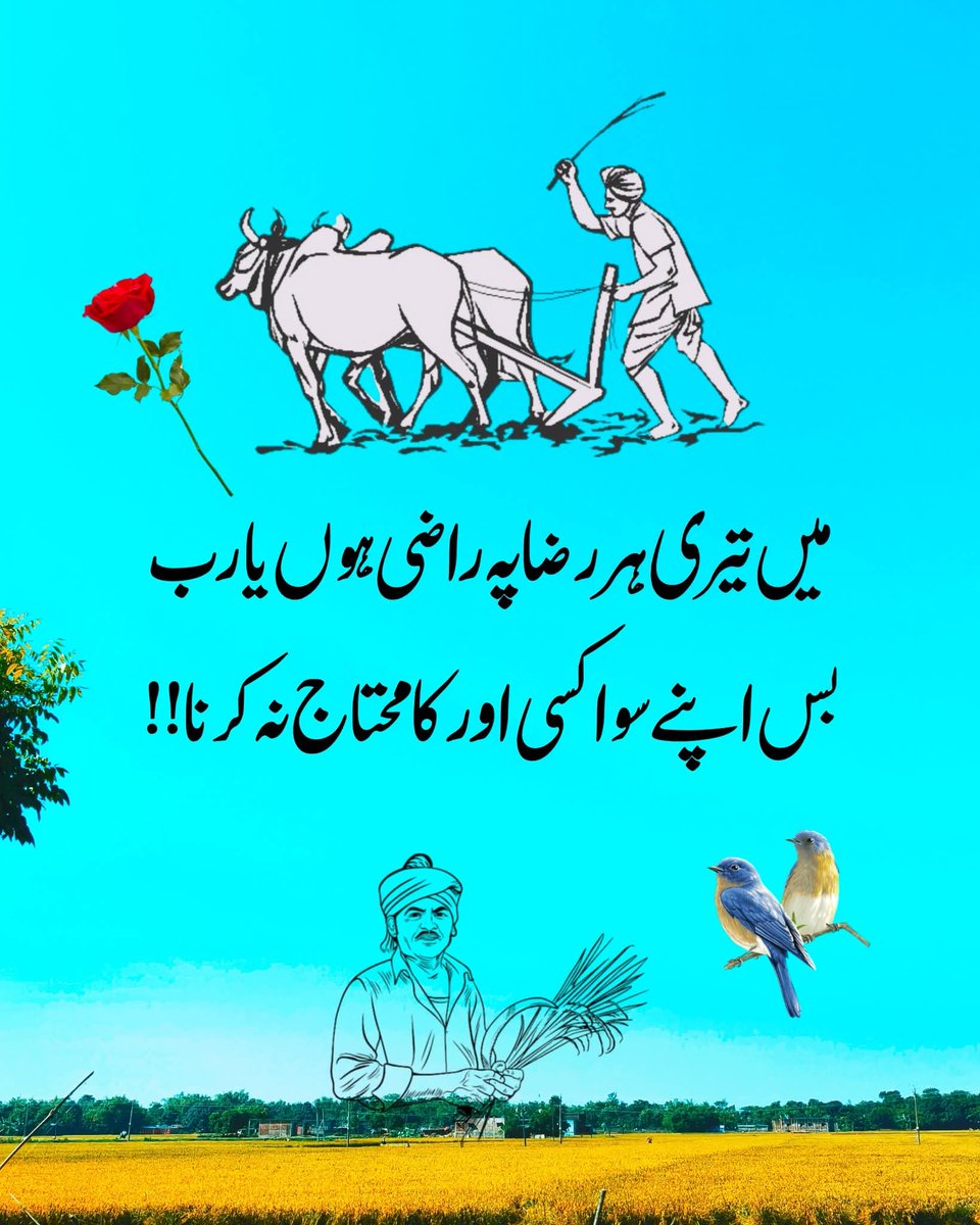 Amina_Nur_005 tweet picture
