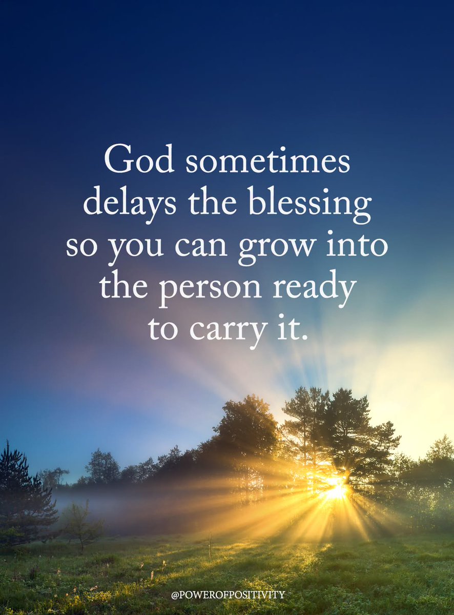 Kungfu Kelly tweet media