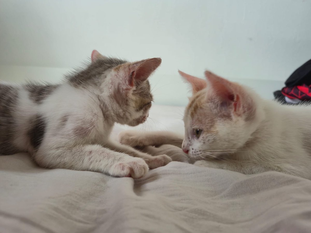 Eu amo muito meus filhos !!! 😭😭🥺