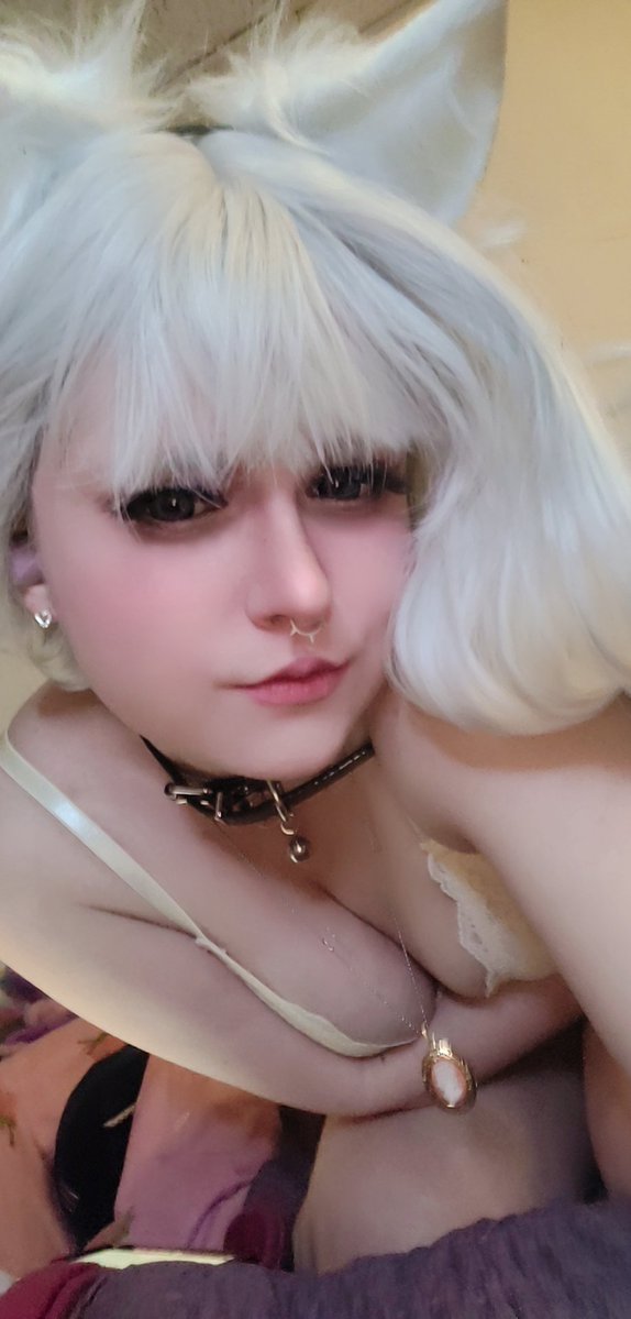 opal tweet media