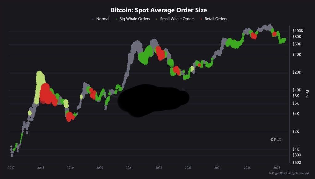 Pr0fitconscious's tweet image. HUGE #buy orders for #Bitcoin!