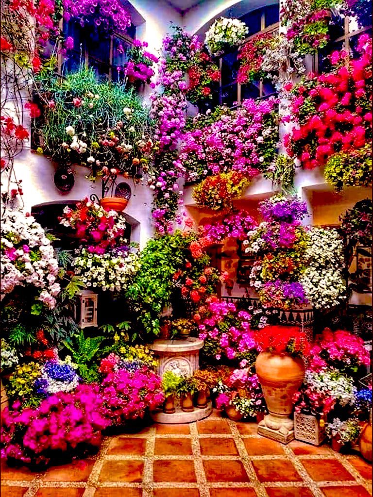 RoseP@ChildOfGod tweet media