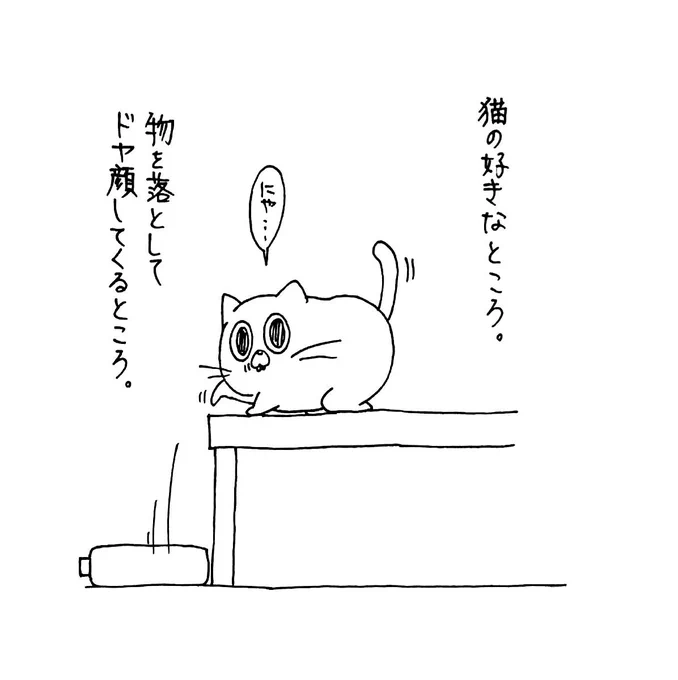 コレなんでかわかったぞ!!!!!ご飯食べようが水飲もうが寝てようが歩いてようがなにしようが人間が「ネコチャン◯◯できてえらいでちゅねぇ〜」って褒めるからだ。なにしても褒められると思ってるんだ。今度からは物落としても褒めます!!!!! 