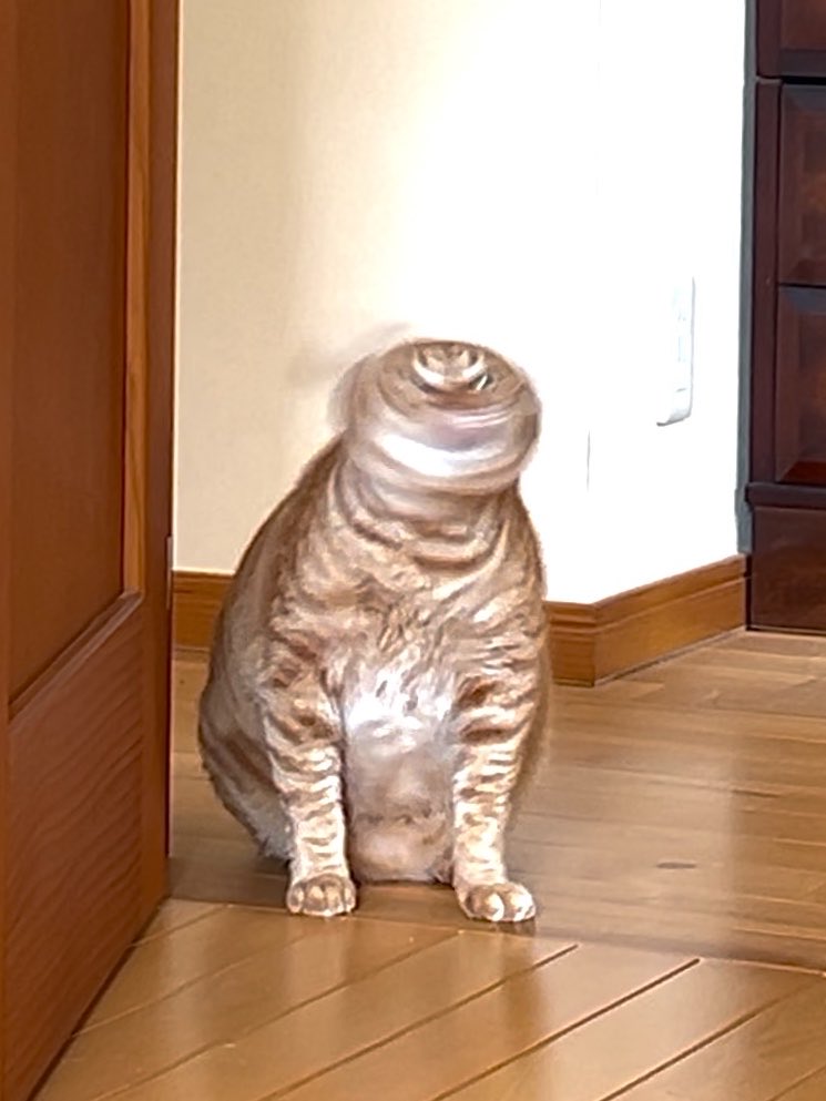 東雲 鈴音 tweet media