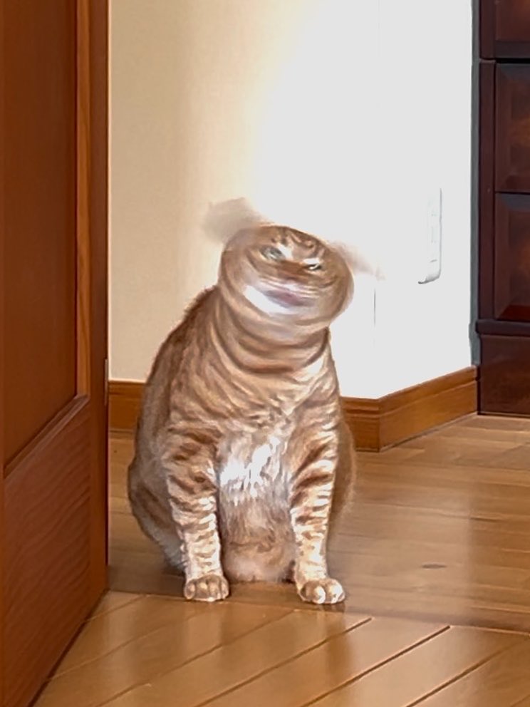 東雲 鈴音 tweet media