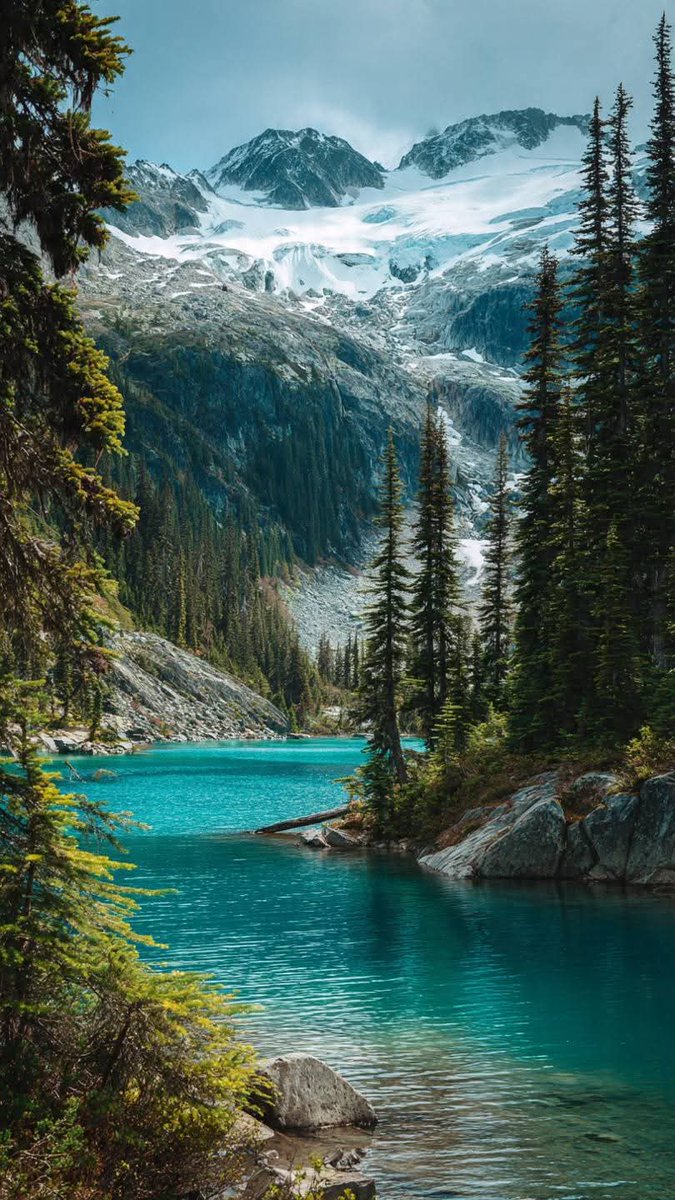 Beauty of Nature tweet media